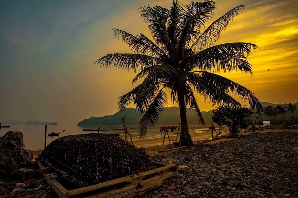 Woodstock Beach Camp Hien Hao ภายนอก รูปภาพ